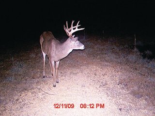 Property photo 10 - 1974 Acres in 23 Tracts Located in Christian, Hopkins & Edmonson County, Kentucky